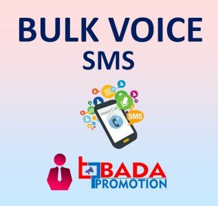 Bulk Voice SMS